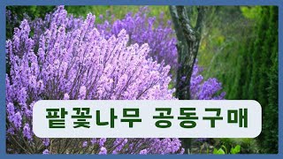 팥꽃나무공동구매 https://m.blog.naver.com/moon5934/223728750182