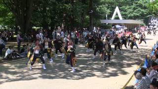 第9回よさこい祭りin光が丘公園(2015/7/19)「朝霞・風靡」