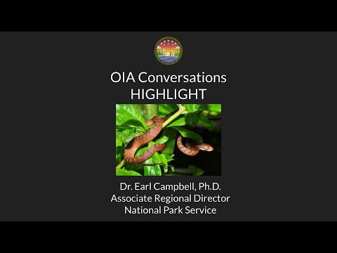 How does the brown tree snake interact with other species?