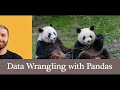 Complete Pandas Data Science Tutorial - Reading CSV , Missing Values, Filtering, Groupby, Plotting..