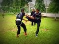 Sabung Beladiri Pencak Silat (Martial Arts From Indonesia)