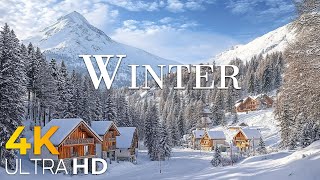 France 4K-Enchanting Winter Wonderland • Stunning Footage, Scenic Relaxation with Calming Music