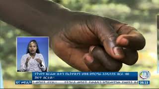 የትህነግ ዘራፊው ቡድን በደልና ሰቆቃ በራያ ከተማ ነዋሪዎች ላይ