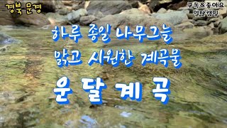 하루 종일 나무그늘/맑고 시원한 계곡물/운달계곡