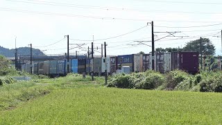 東北本線上り貨物列車＠宮城県岩沼市　千貫山のふもとで