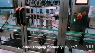 China TGM water/wine filling machine in 2019