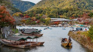 🇯🇵 Japan Walking Tour - Kyoto River Walk Arashiyama | 4K HDR