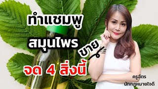 ทำแชมพูสมุนไพร​ขาย จด 4 สิ่งนี้