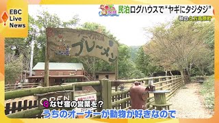 秋の久万高原町　動物とふれあい　老舗の味に舌鼓