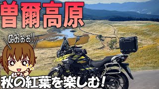 【Vｽﾄﾛｰﾑ250】奈良の曾爾高原のｽｽｷが見ごろ！紅葉の秋ﾂｰﾘﾝｸﾞ｜針テラスと曾爾高原を巡る紅葉を楽しむバイクツーリングに【バイクの旅人：SUZUKI V-Strome250】