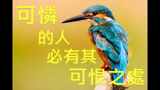 【可憐的人必有其可恨之處】 廣東話粵語 周未故事27