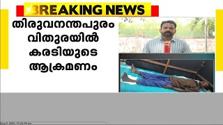 തിരുവനന്തപുരം വിതുരയിൽ കരടിയുടെ ആക്രമണത്തിൽ ഒരാൾക്ക് ഗുരുതര പരുക്ക്