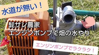 【水やり】エンジンポンプを使った畑の水やり【髭サン農家】