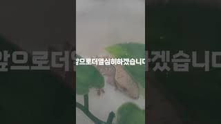 여러분들구독자10명감사합니당!♡