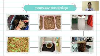 การเปรียบเทียบประสิทธิภาพการดูดซับน้ำมันของเเผ่นกระดาษจากฟางข้าวที่ผสมไคโตซานเเละไม่ผสมไคโตซาน