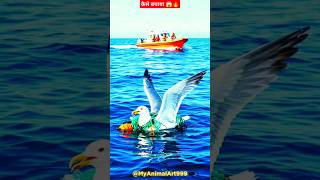 Bird Trapped in the Sea, Rescue Team Saves It | 🦅 #shorts #birds #animalrescue #cartoon