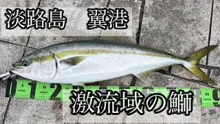 ガチタックルで激流域のブリと戦ってみた【淡路島 翼港】