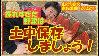 【家族菜園202２】＃３　採れすぎた野菜は、土中保存しましょう！