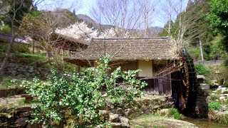 2018　4/3　内子さんぽ・石畳清流園(水車小屋と屋根付き橋)　～喜多郡内子町石畳～