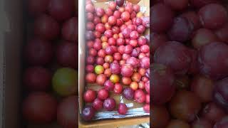 ഷോപ്പിൽ പോയാൽ ഇതൊക്കയാ പരിപാടി #plumfruit  #shortvideo