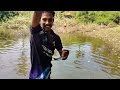 ഇര വച്ച് പിടിച്ചത് നിര നിരയായി മീനുകൾ 🔥 fishing vlog pallakkad village meeenkaran