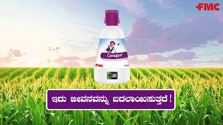 FMC Coragen® in Maize - A Walkthrough in Kannada | FMC India