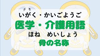 【g004】医学・介護用語　骨の名称