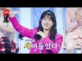 신에손 바다새｜불타는 장미단 13회