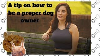 How To Be A Proper Dog Owner