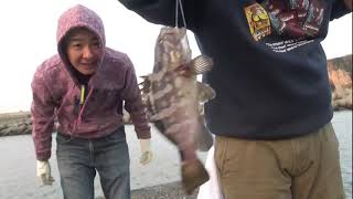 『釣り』三浦半島『宮川港』再アップです