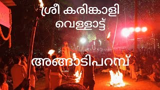 അങ്ങാടി പറമ്പ് ശ്രീ കരിങ്കാളി വെള്ളാട്ട് 2023കെയർ റോഡ് തെയ്യത്താം പാറ കരിയാട്