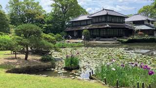 松浜軒・旧八代城主松井家御茶屋【国指定名勝・庭園】