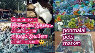 trichy ponmalai santhai / திருச்சி பொன்மலை  சந்தை / pets market in ponmalai santhai