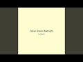 Silver Dream Midnight