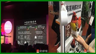 what？5G養“走地雞”！三大運營商撥快5G進度條