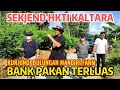 SEKJEND HKTI KALTARA TOUR BANK PAKAN TERLUAS #bulungan #kaltara #tanatidung #bankpakan #indigofera