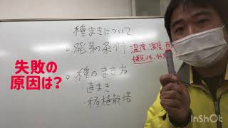 【種まき】発芽に必要な条件とは？芽が出ない原因はこれかもしれません！【農業屋】