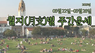 ☯️2023년05월22일-05월28일 월지(月支)별 주간운세