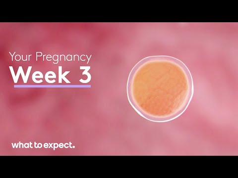 How does your stomach feel at 3 weeks pregnant?