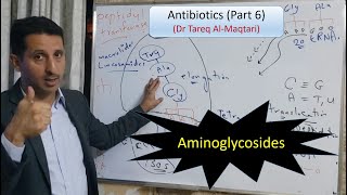 Antibiotics | 6 | Aminoglycosides (mechanism, uses, side effects)