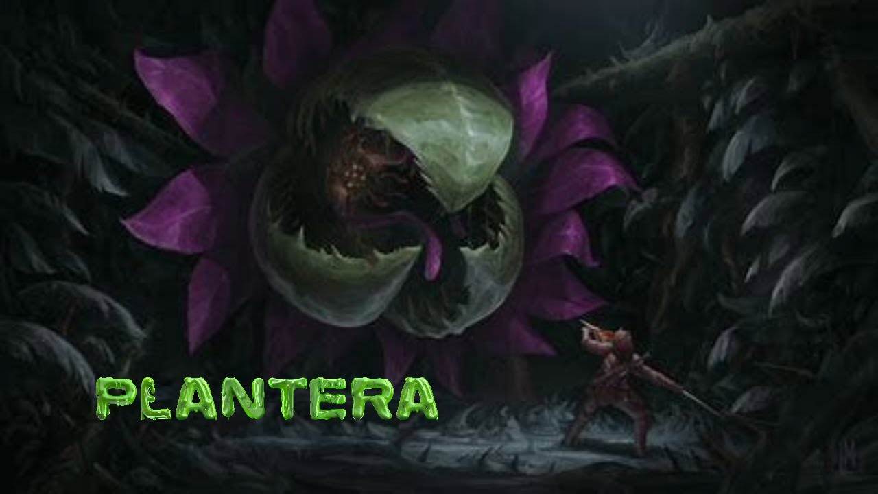 Plantera Youtube