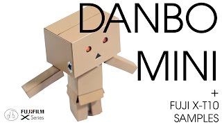 Revoltech Danboard Mini - Meet our new Model Danbo!