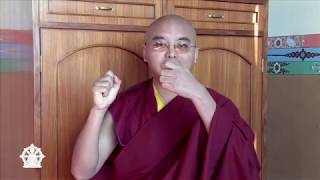 The Life and Teachings of Saljey Rinpoche