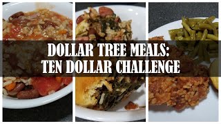 DOLLAR TREE MEALS || TEN DOLLAR CHALLENGE!
