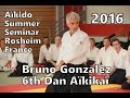 Bruno Gonzalez Aikido Yokomen Uchi Ura Ken Rosheim 2016 HD