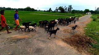 দৈনন্দিন জীবন গ্রাম গ্রাম জীবন ভ্লগ গড়বেতা পশ্চিম মেদিনীপুর পশ্চিমবঙ্গ