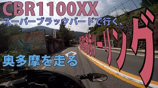 【モトブログ】HONDA CBR1100XX スーパーブラックバードで行く、奥多摩お散歩ツーリング