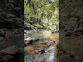 Agumbe: Jogigundi falls