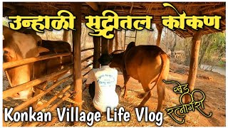 कोकणी गाव / उन्हाळी सुट्टीतल कोकण Konkan Village Life Vlog #konkan_vlog रत्नागिरी-खेड KokanLifestyle