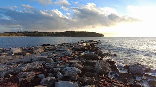 November walk through the old vineyards along the coast I Nov 2022 I 4K